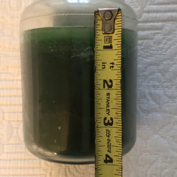 Discontinued Yankee Candle Greenhouse Scented Jar Candle 22 Oz Size - Picture 7 of 10